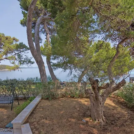Jelena B4 4* Veli Lošinj